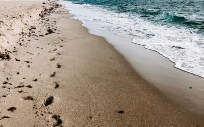 Why Boca Raton is a Perfect Incentive Destination