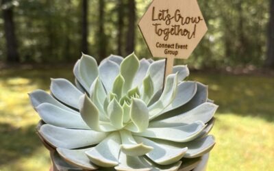 5 Ways We Show Love to Our Vendor & Hotel Partners Year-Round 